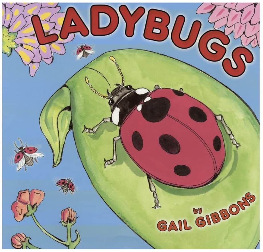 Books about ladybugs for preschoolers 